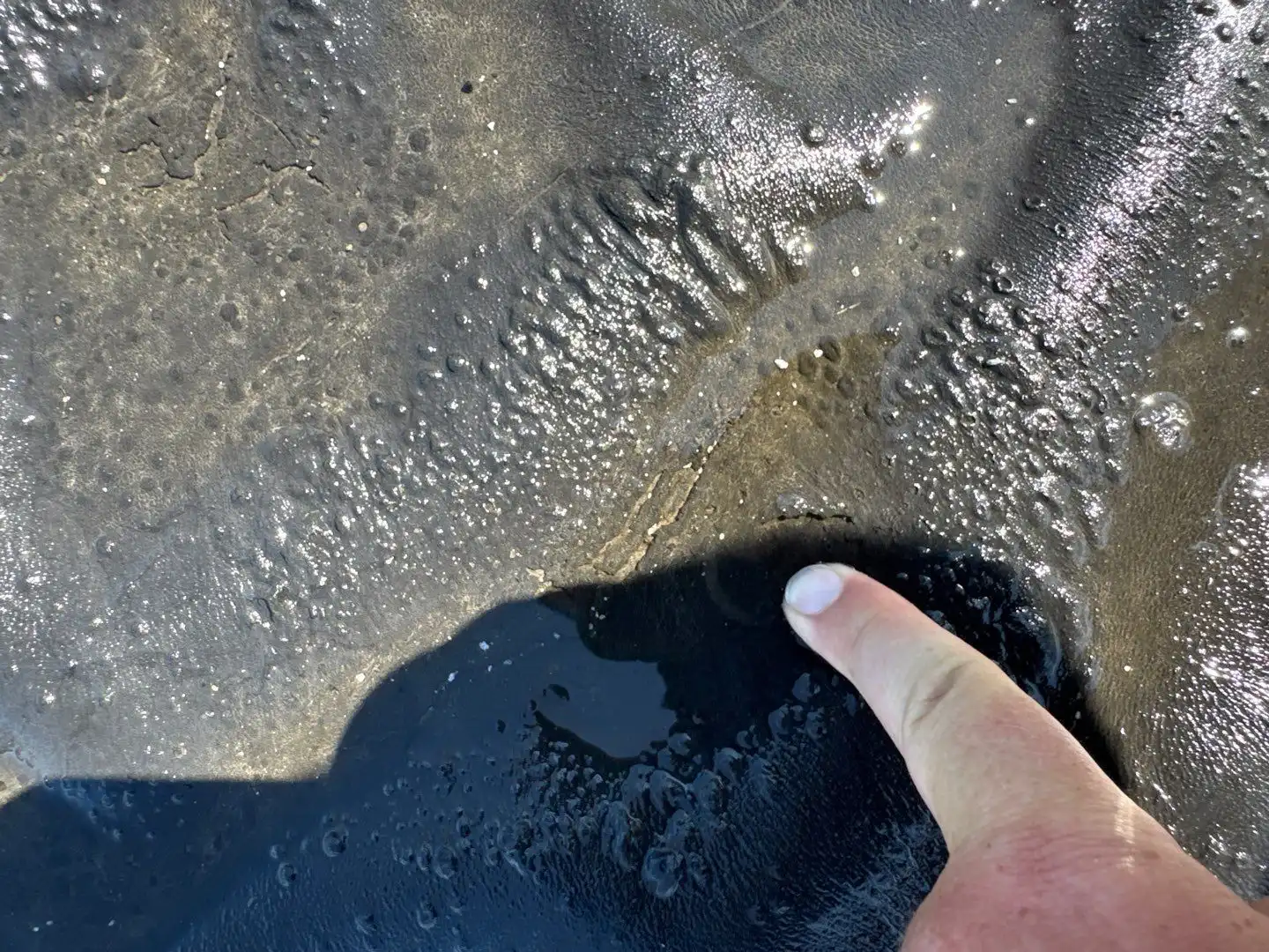 Flat Roof Repair Fortville: Leak Detection and Fix